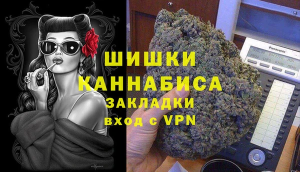 стаф Белокуриха